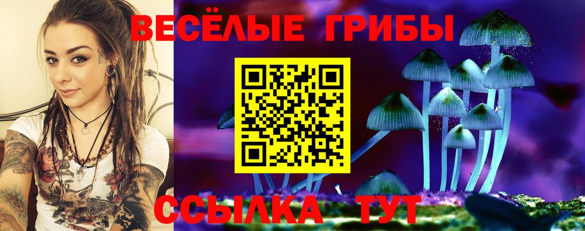 Псилоцибиновые грибы GOLDEN TEACHER  Вход с VPN  Краснознаменск 
